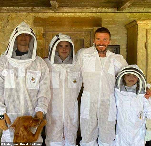 Джейсон Стэтхэм стал последней знаменитостью, занявшейся пчеловодством