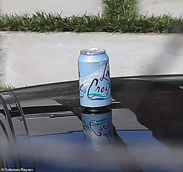 На мгновение Брэд поставил банку La Croix на крышу своего Porsche, жонглируя книгами по архитектуре и ключами.
